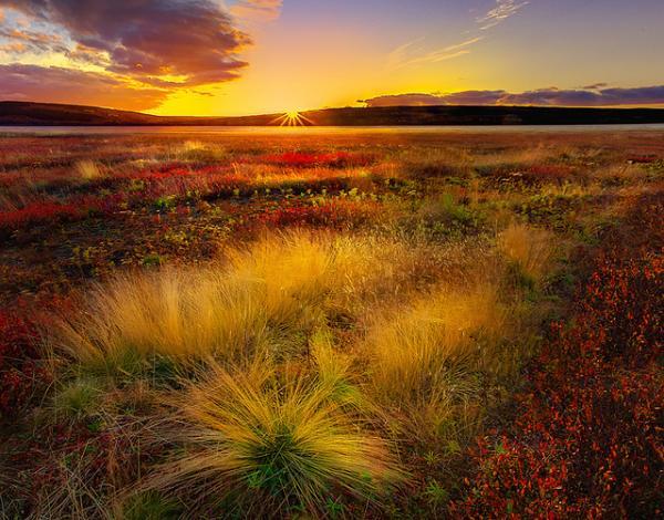 Landscape Photography by Kevin McNeal