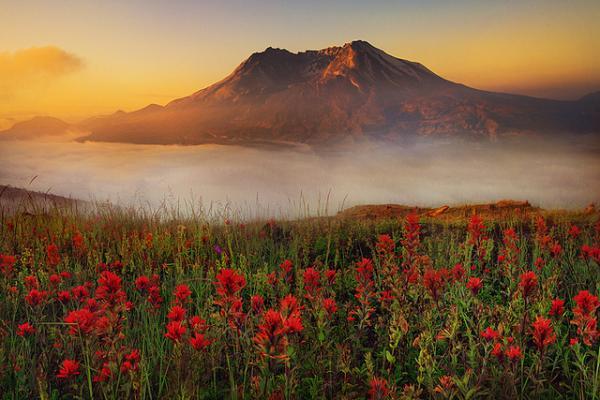 Landscape Photography by Kevin McNeal