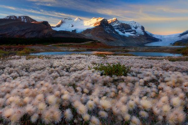 Landscape Photography by Kevin McNeal