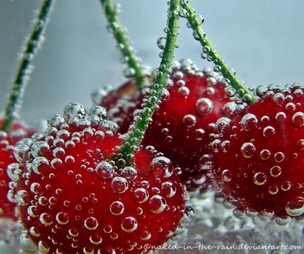 Lovely Photography by Mia