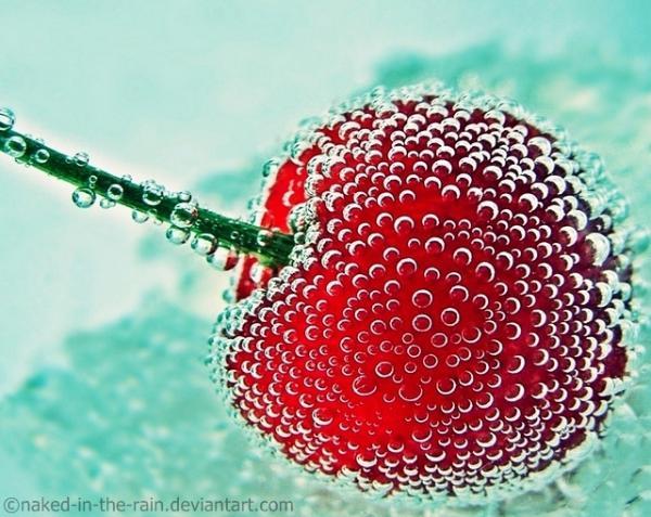 Lovely Photography by Mia