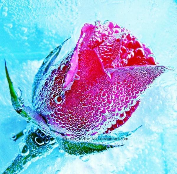 Lovely Photography by Mia