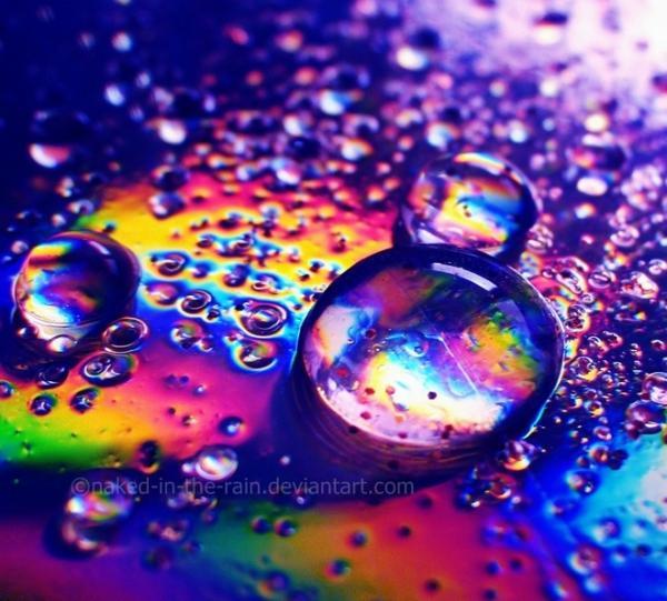 Lovely Photography by Mia