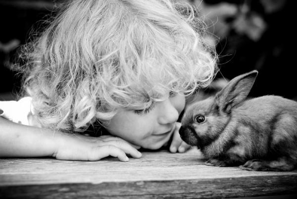 Children's Photography by Monika Zborowska