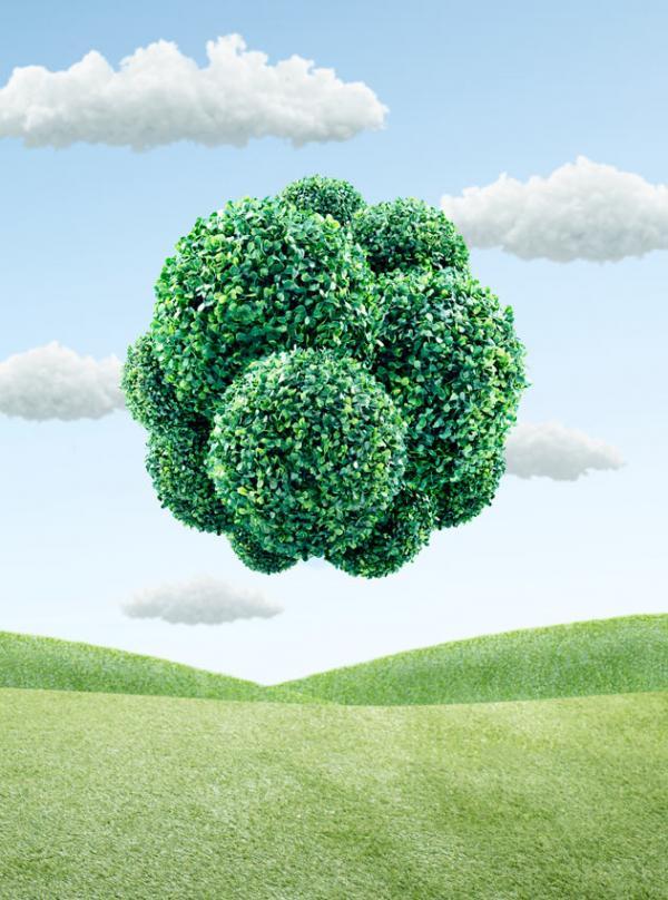 Creative Photo Manipulations by Fernando Maselli