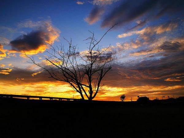 Labdscape Photography by Joyoyo