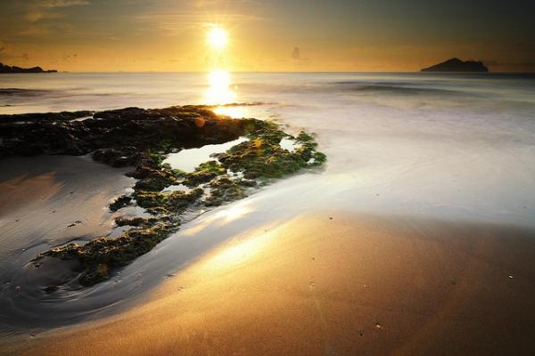 Labdscape Photography by Joyoyo