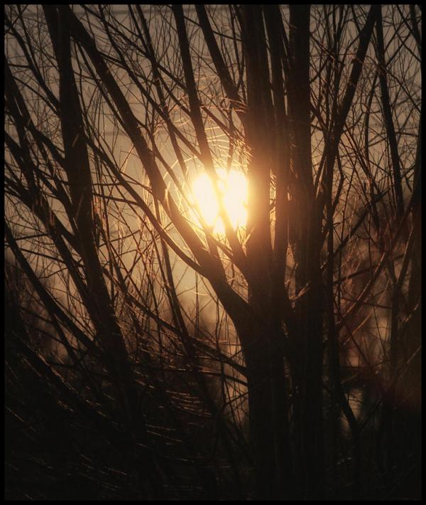 Landscape Photography by Lisa Kidd