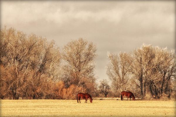 Landscape Photography by Lisa Kidd