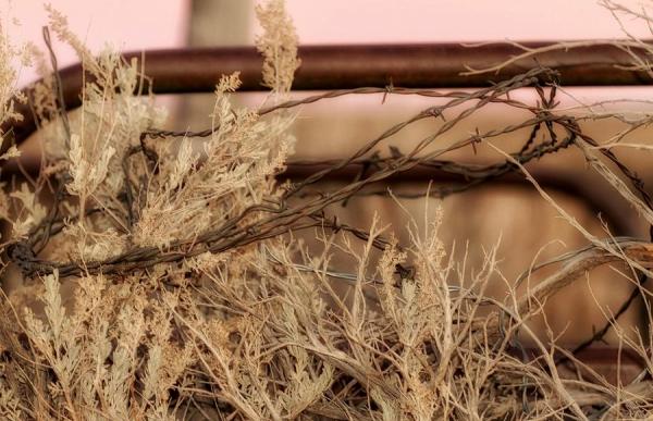 Landscape Photography by Lisa Kidd