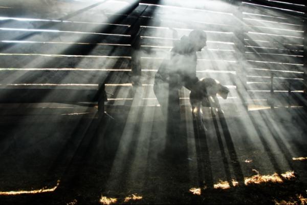 Documentary Photography by Remus Tiplea