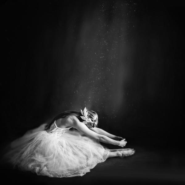 Photography by Vanessa Paxton