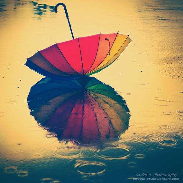 Photography by Carlos Henrique Reinesch