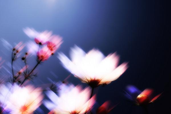 Photography by M kun2