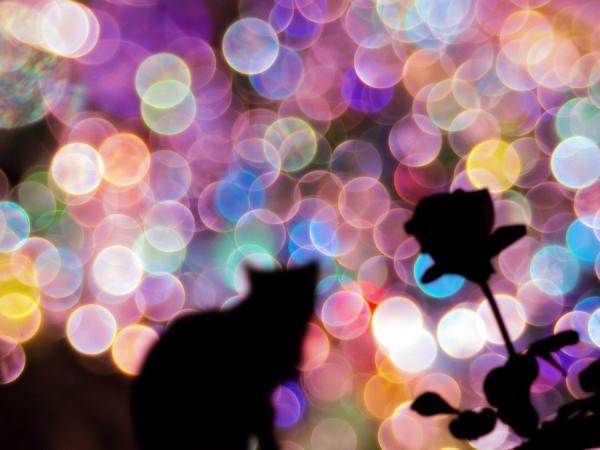 Photography by M kun2