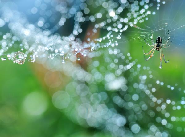 Photography by Lafugue Logos