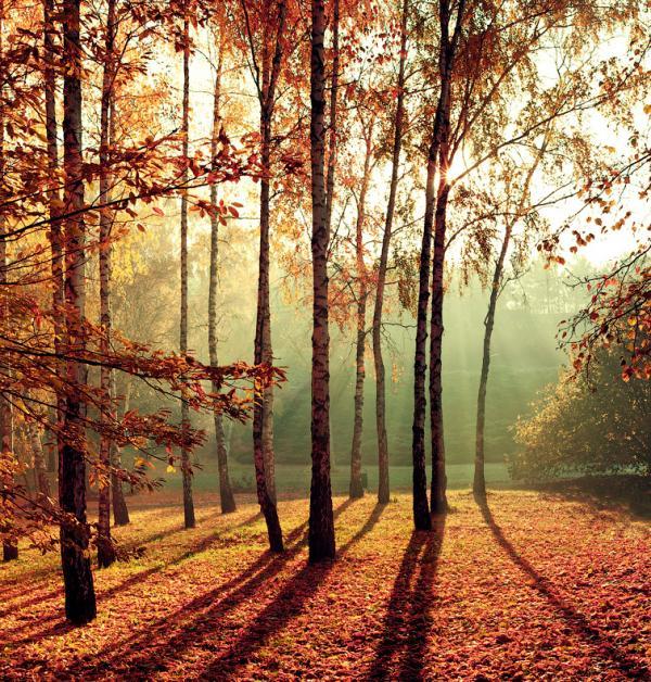 Photography by Alexandru Popovschi