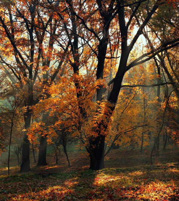 Photography by Alexandru Popovschi