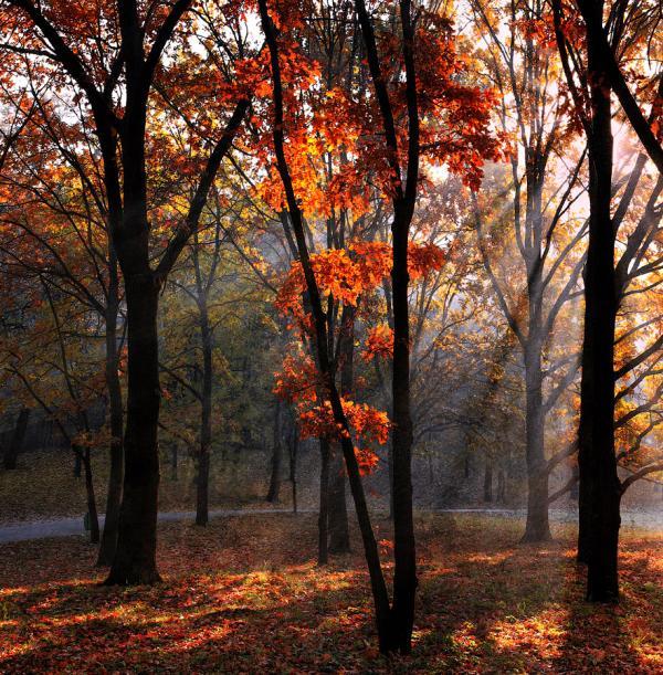 Photography by Alexandru Popovschi
