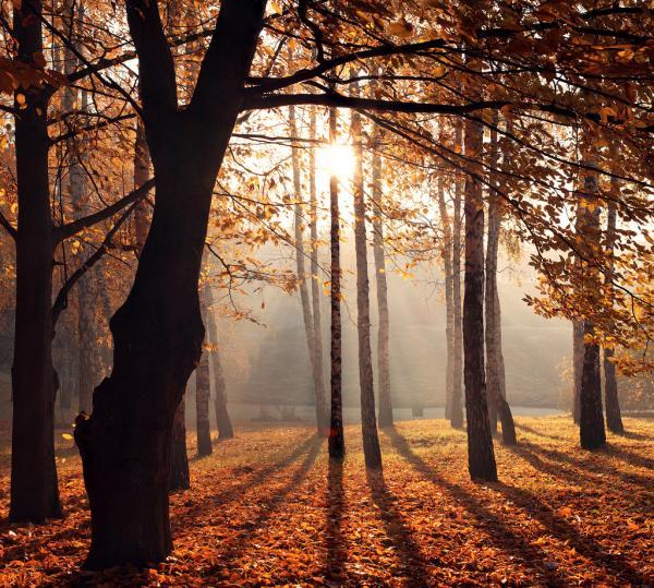 Photography by Alexandru Popovschi