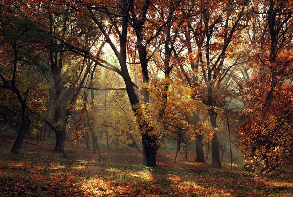 Photography by Alexandru Popovschi