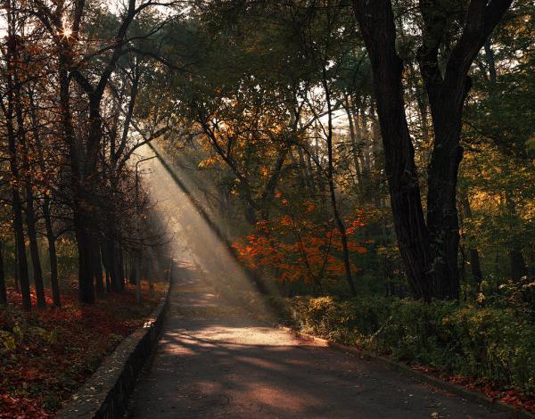 Photography by Alexandru Popovschi