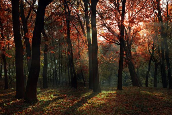 Photography by Alexandru Popovschi