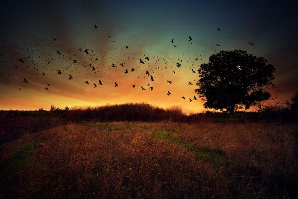 Photography by Alexandru Popovschi