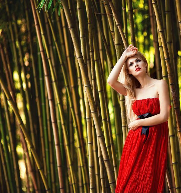 Gorgeous Photography by SAHAROZA #2