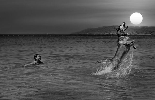 Photography by Gilad Benari
