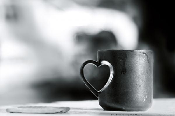 Photography by Gilad Benari