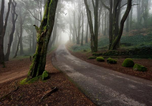 Landscape Photography by Paulo Flop