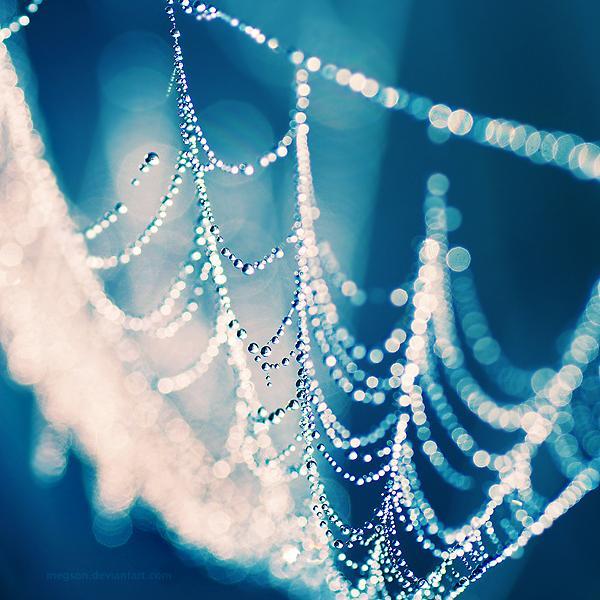 Photography by Magda Kolakowska