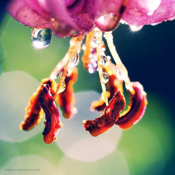 Photography by Magda Kolakowska
