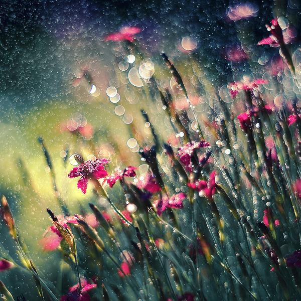 Photography by Magda Kolakowska
