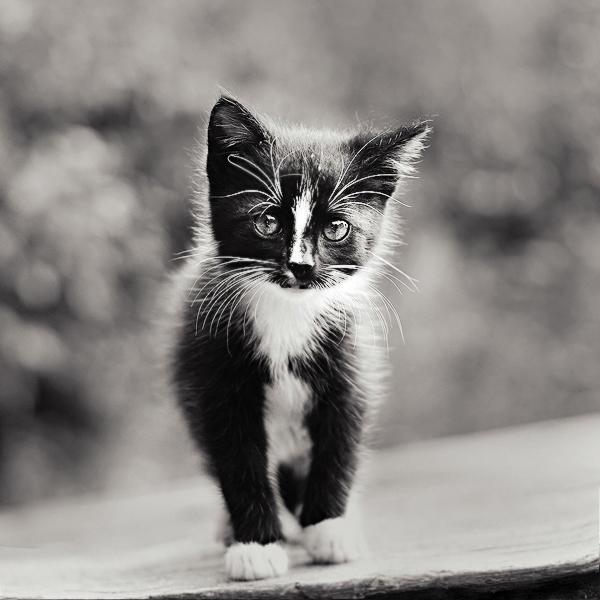 Photography by Magda Kolakowska