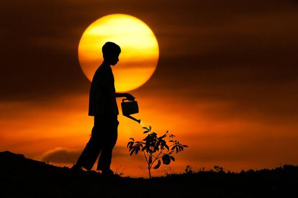 Sunset Photography by Pink Sword