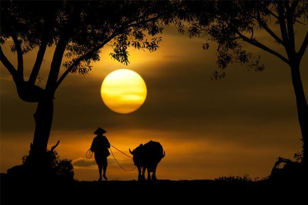 Sunset Photography by Pink Sword