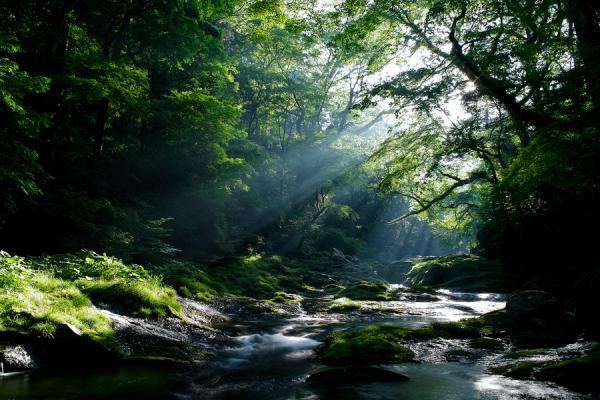 Photography by Junya Hasegawa