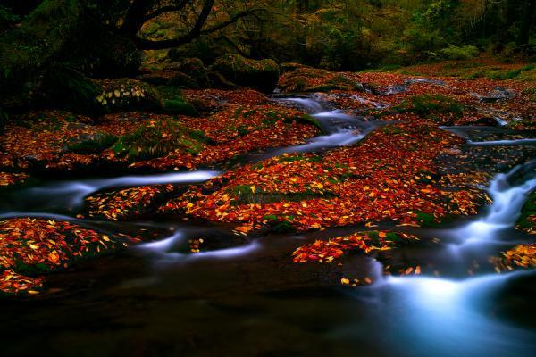 Photography by Junya Hasegawa