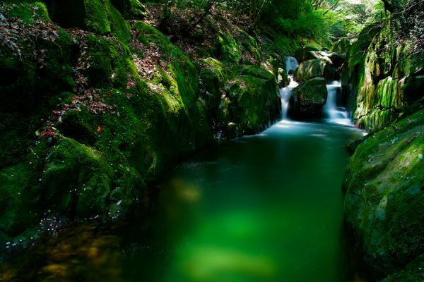 Photography by Junya Hasegawa