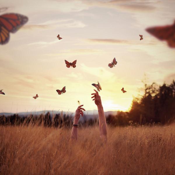 Wonderful Photography by Joel Robison