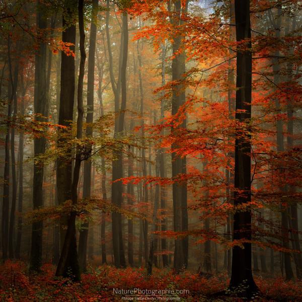 Landscape Photography by Philippe Sainte-Laudy