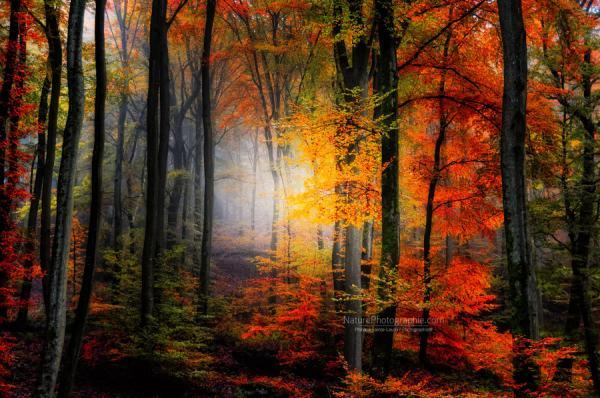 Landscape Photography by Philippe Sainte-Laudy