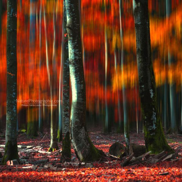 Landscape Photography by Philippe Sainte-Laudy