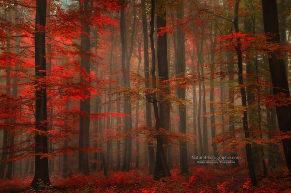 Landscape Photography by Philippe Sainte-Laudy