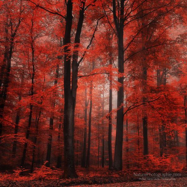 Landscape Photography by Philippe Sainte-Laudy