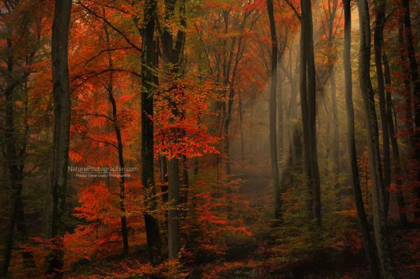 Landscape Photography by Philippe Sainte-Laudy