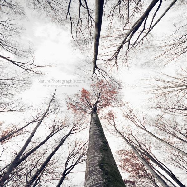 Landscape Photography by Philippe Sainte-Laudy