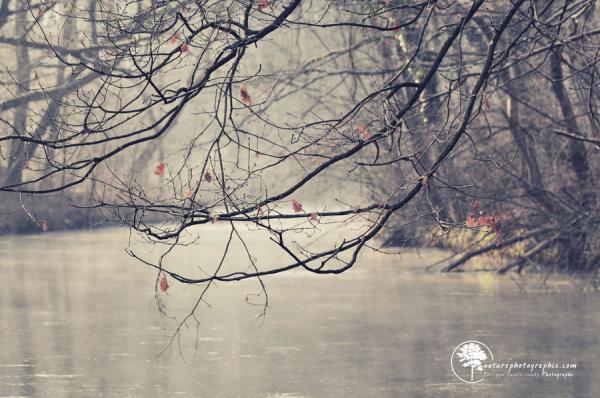 Landscape Photography by Philippe Sainte-Laudy
